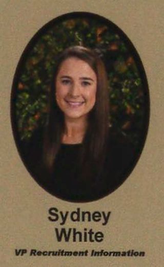 Psi Chapter Composite Detail, Sydney White, 2020-2021