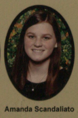 Psi Chapter Composite Detail, Amanda Scandaliato, 2013-2014