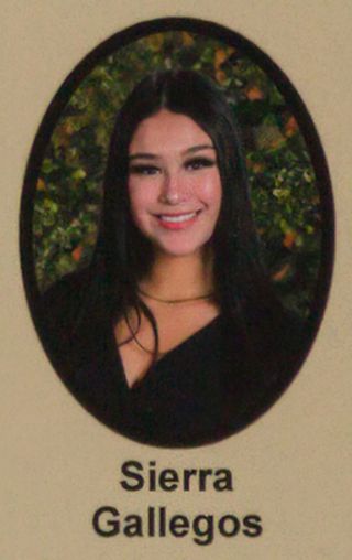 Psi Chapter Composite Detail, Sierra Gallegos, 2022-2023