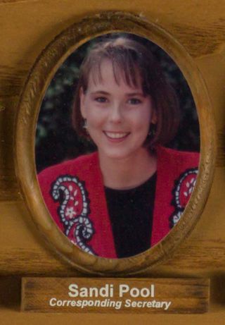 Psi Chapter Composite Detail, Sandi Pool, 1994-1995