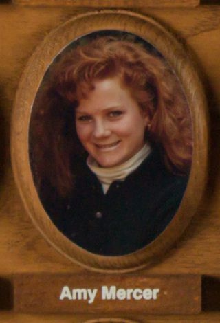 Psi Chapter Composite Detail, Amy Mercer, 1989-1990