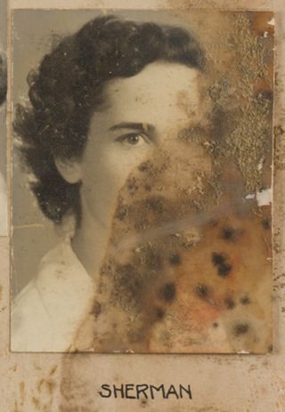 Theta Chapter Composite Detail, Sherman, 1942