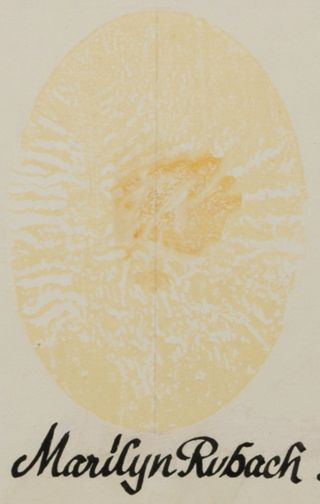 Theta Chapter Composite Detail, Marilyn Rubach, 1966