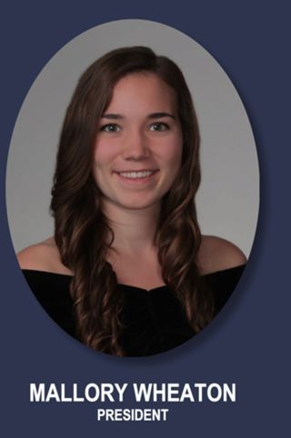 Theta Chapter Composite Detail, Mallory Wheaton, 2010-2011