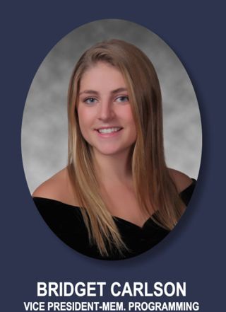 Theta Chapter Composite Detail, Bridget Carlson, 2015-2016