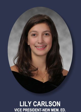 Theta Chapter Composite Detail, Lily Carlson, 2016-2017