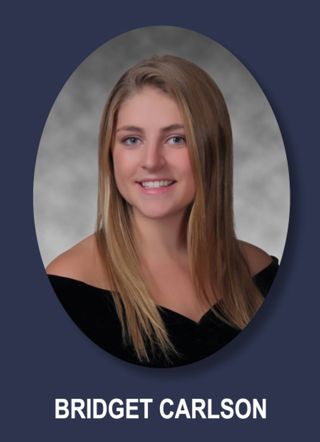 Theta Chapter Composite Detail, Bridget Carlson, 2016-2017