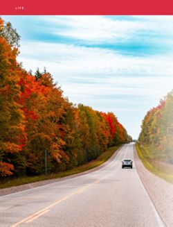 68cad0c64888d7.99073883.pdf page 38