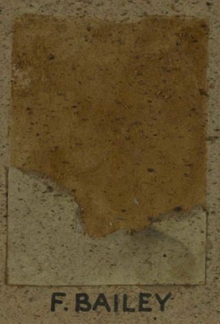 Beta Eta Chapter Composite Detail, F. Bailey, 1956-1957