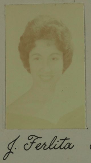 Beta Eta Chapter Composite Detail, J. Ferlita, 1962-1963