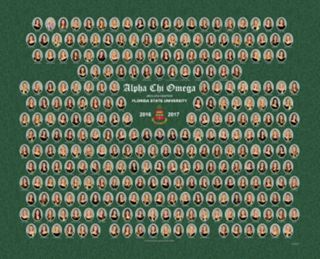 Beta Eta Chapter Composite Photograph, 2016-2017