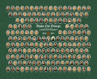 Beta Eta Chapter Composite Photograph, 2010-2011