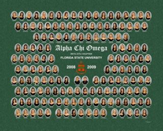 Beta Eta Chapter Composite Photograph, 2008-2009