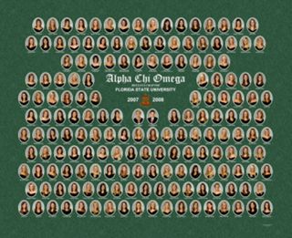 Beta Eta Chapter Composite Photograph, 2007-2008