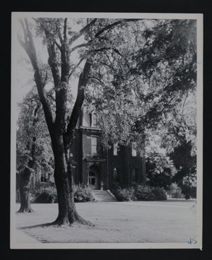 Spring 2026 Issue of The Lyre |&nbsp;The Toastmistress: Vivien Bard