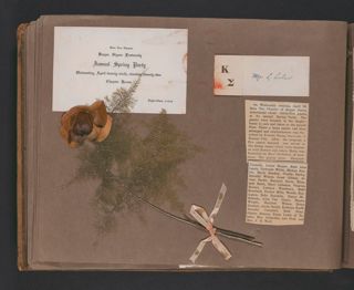 Alvena Smith Scrapbook, Page 30