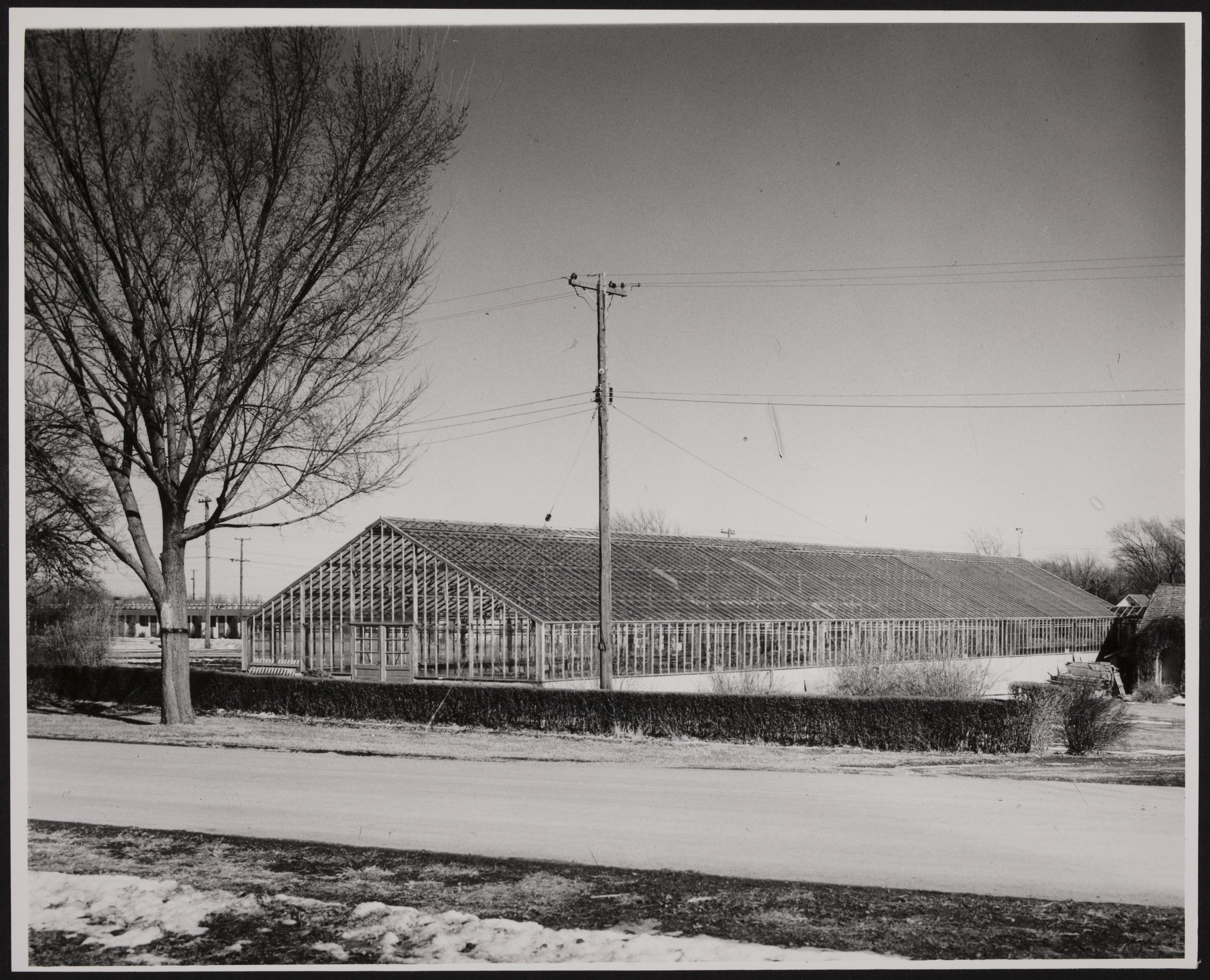 Unity Farm Greenhouses Erected