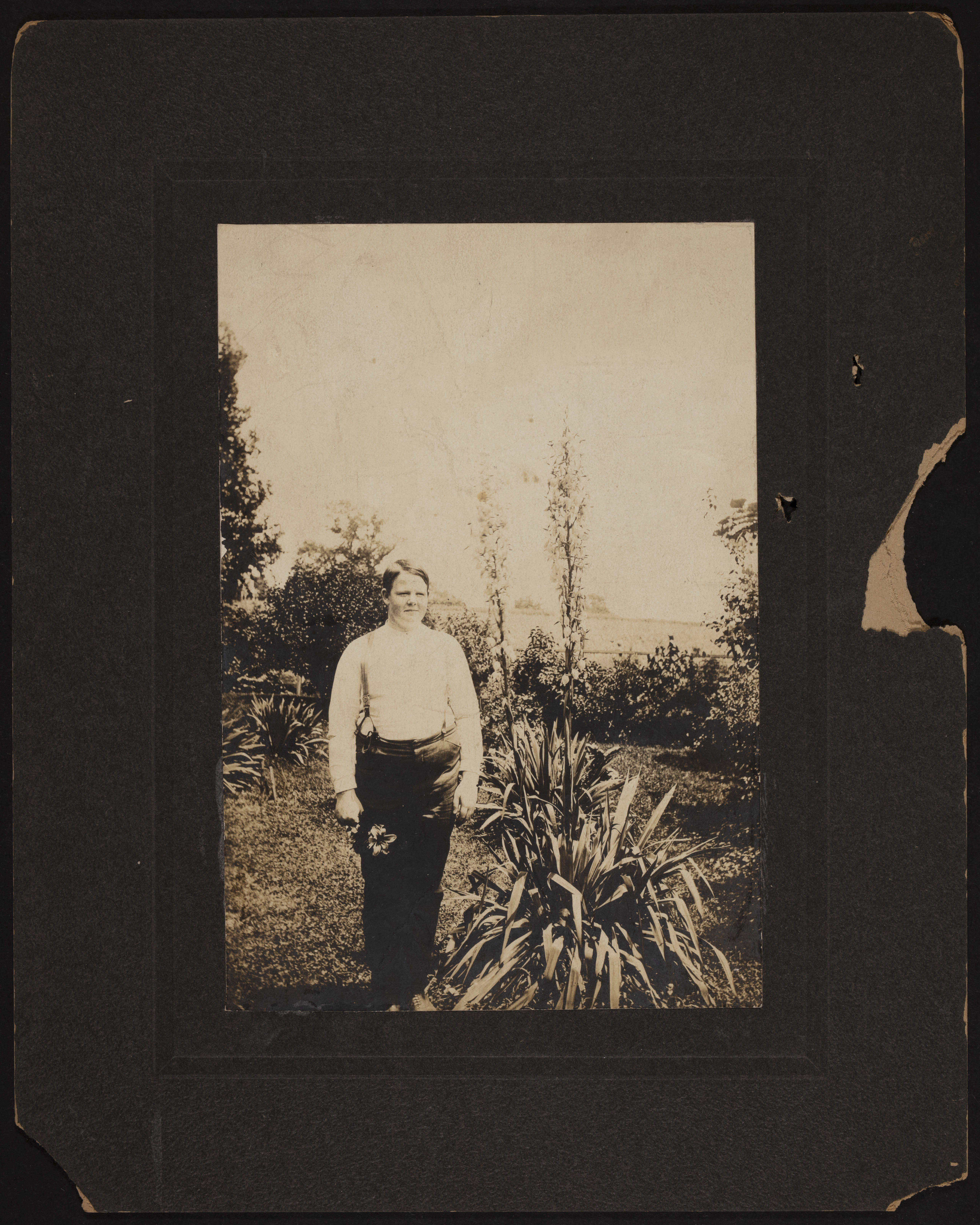 John Royal Fillmore Born