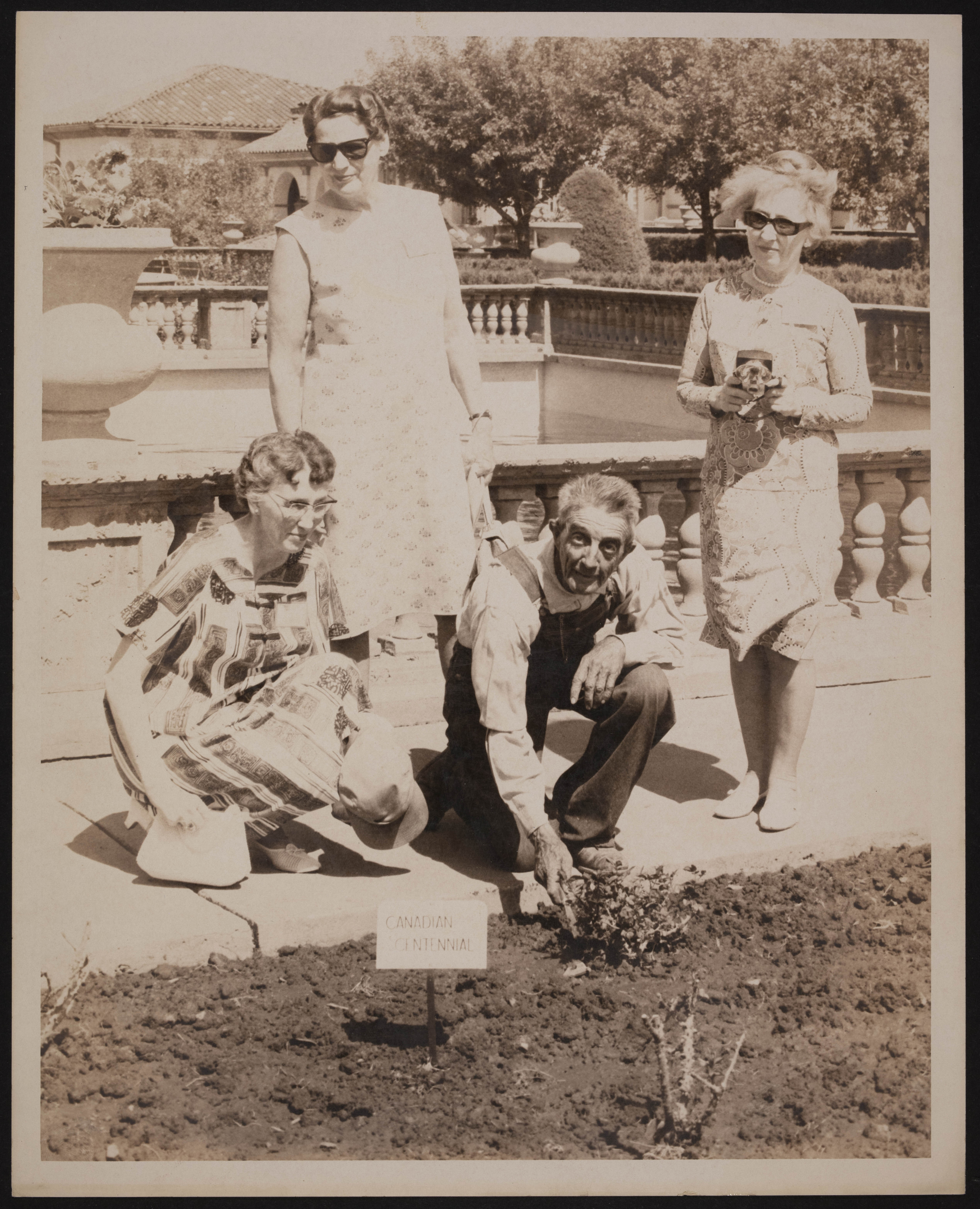 Unity Rose Garden Designed