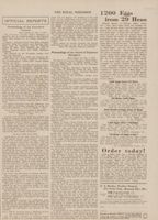 RNA_P2_Box5_1919_044.jpg