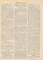 RNA_P2_Box5_1917_211.jpg