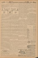RNA_P2_Box3_1906_047.jpg
