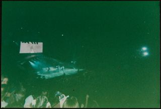 Concert Photograph 2
