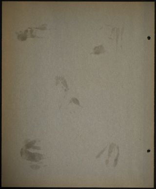 Delta Gamma Convention Scrapbook, Page 16