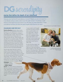 Delta Gamma_DCP_Box2_F6_Publication_004_26.jpg