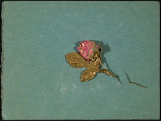 Boston Alumnae Chapter of Delta Gamma Founders Day Dinner Program, March 15, 1961
