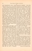 DG_Anchora_Vol01_No2_025.jpg