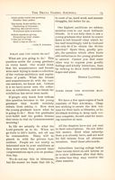 DG_Anchora_Vol02_No1_024.jpg