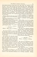 DG_Anchora_Vol01_No4_022.jpg