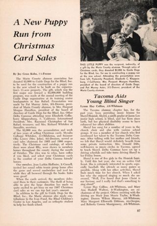 A New Puppy Run From Christmas Card Sales