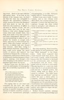 DG_Anchora_Vol03_No3_010.jpg