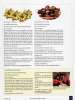 DG_Anchora_Vol118_No4_014.jpg
