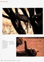DG_Anchora_Vol123_No4_017.jpg