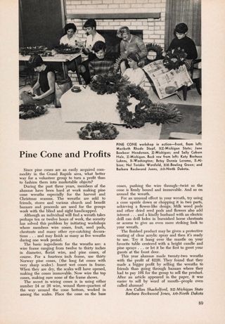 Pine Cone and Profits