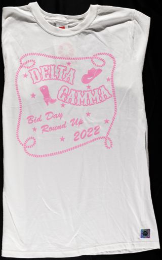 Eta Omega Chapter Bid Day Round Up T-Shirt, 2022