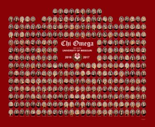 Rho Alpha Chapter Composite Photograph, 2016-2017