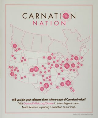 Carnation Nation