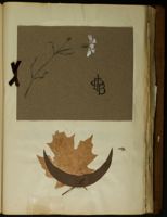 GPB_DCP_Box 5_Book_03_013_01.jpg