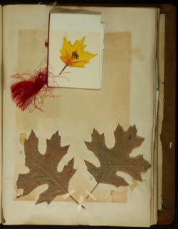 GPB_DCP_Box 5_Book_03_053_01.jpg