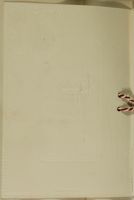 GPB_DCP_Box 5_Book_03_073_03.jpg