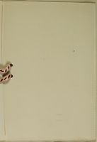 GPB_DCP_Box 5_Book_03_073_10.jpg