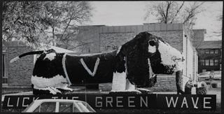 Commodore Mascot George Homecoming Display Photograph