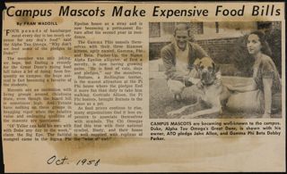 Campus Mascots Make Expensive Food Bills Newspaper Clipping, October 1958