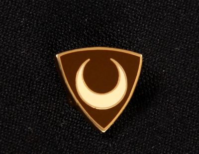 New Member Pin Design Selected