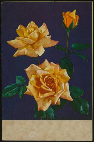 Beta Upsilon Chapter Installation Dinner Program, April 30, 1983