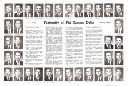 6477363a9e79c8.69443823.pdf page 2